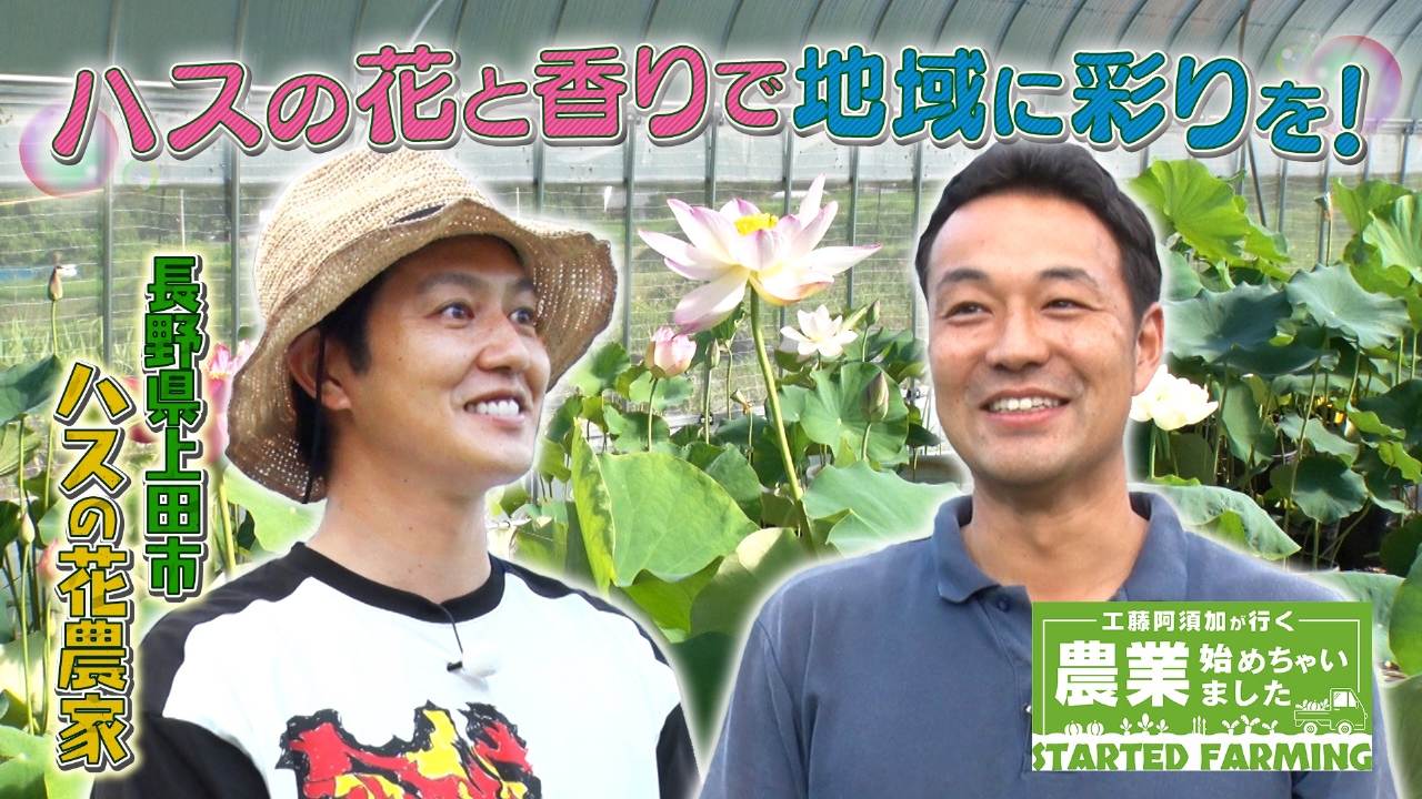 ハスの花と香りで地域に彩りを！新聞記者から転身したハスの花農家
