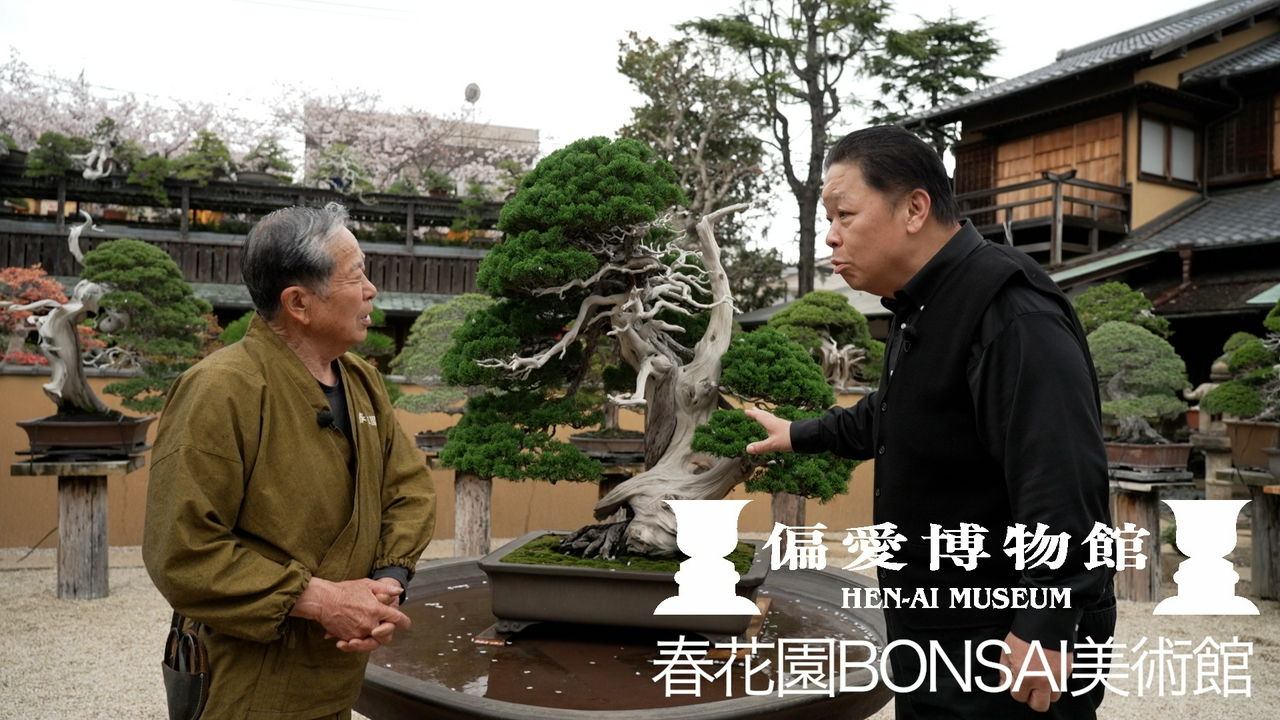 春花園ＢＯＮＳＡＩ美術館▽１億円の盆栽を作る男