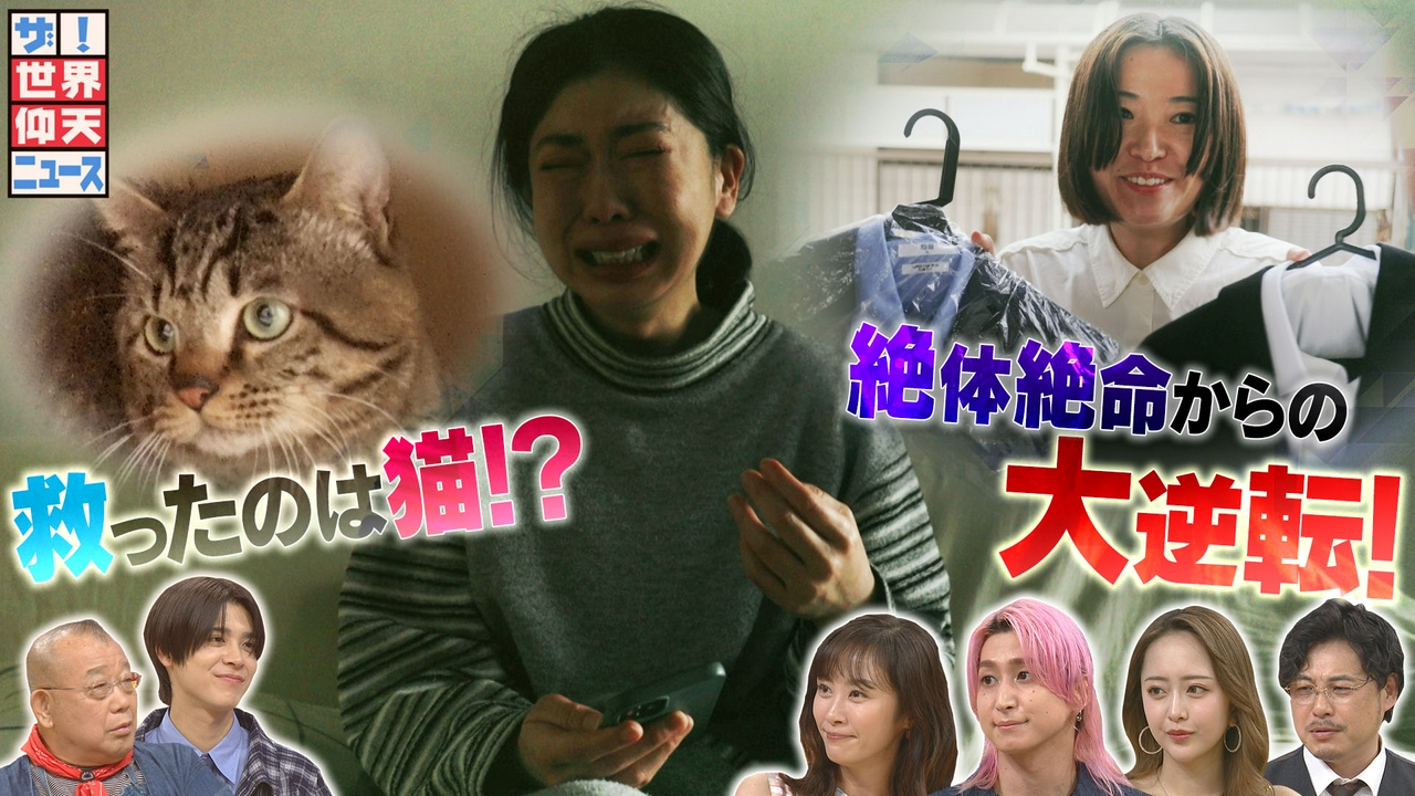 絶体絶命から大逆転!ピンチ母子…残された10時間で猫が奇跡起こす