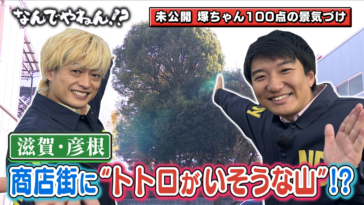 滋賀・彦根にある商店街に“トトロがいそうな山”があるのなんでやねん！？