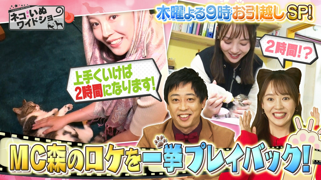 世界一ネコに優しい国!?トルコ・イスタンブールに潜入/長崎のミルクボランティアを体験取材