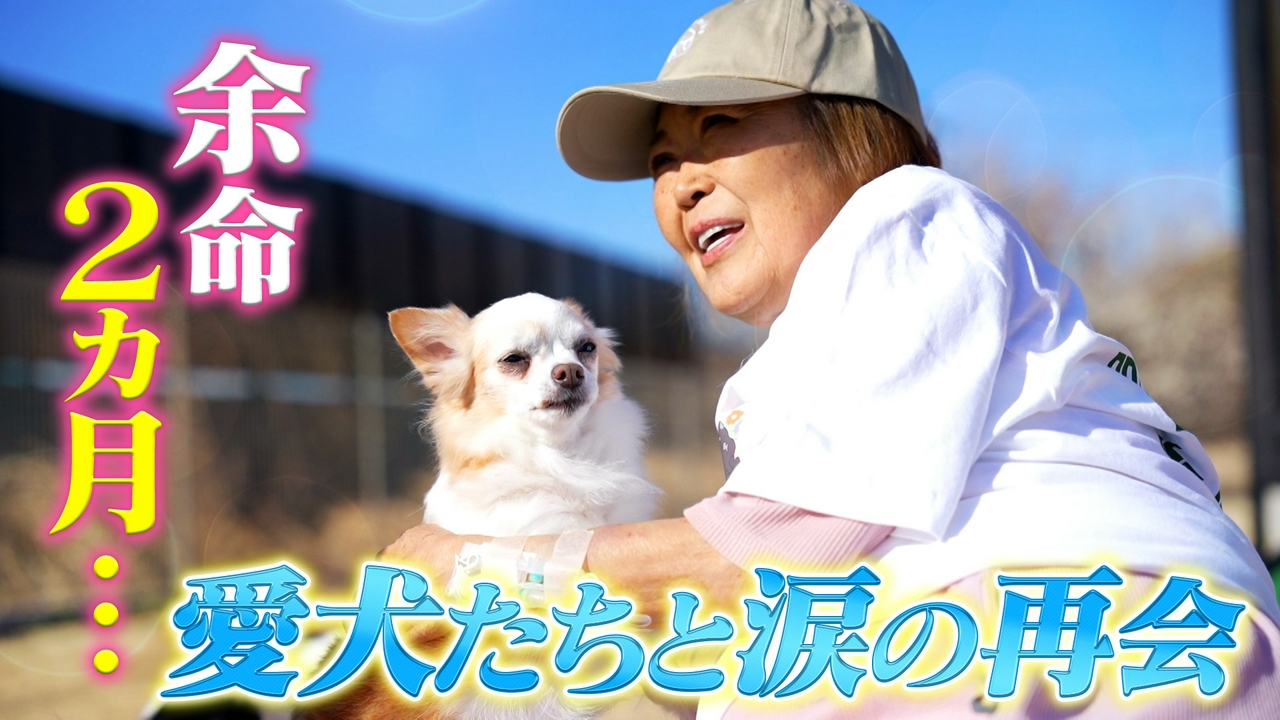 余命2ヵ月の飼い主と愛犬涙の別れ＆感動の再会