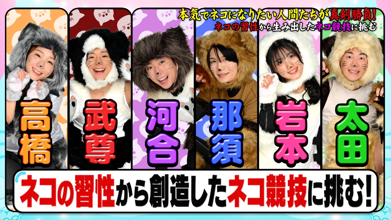 ピタッと着地！驚異の柔軟性！ネコの身体能力特化スポーツNo,1決定戦！