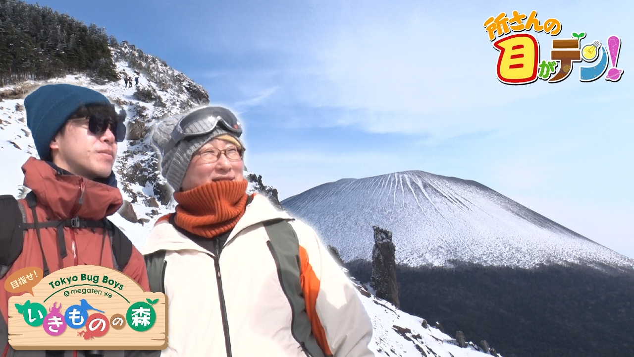 オコジョとカモシカ求めて雪山へ!真冬のいきものの森で動物観察