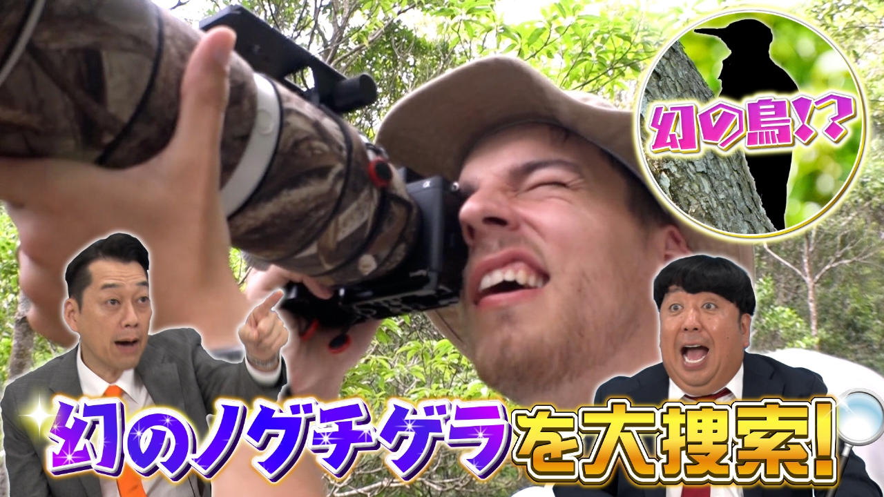 29年ぶり…日本の故郷へ帰る＆沖縄で幻の野鳥を激撮