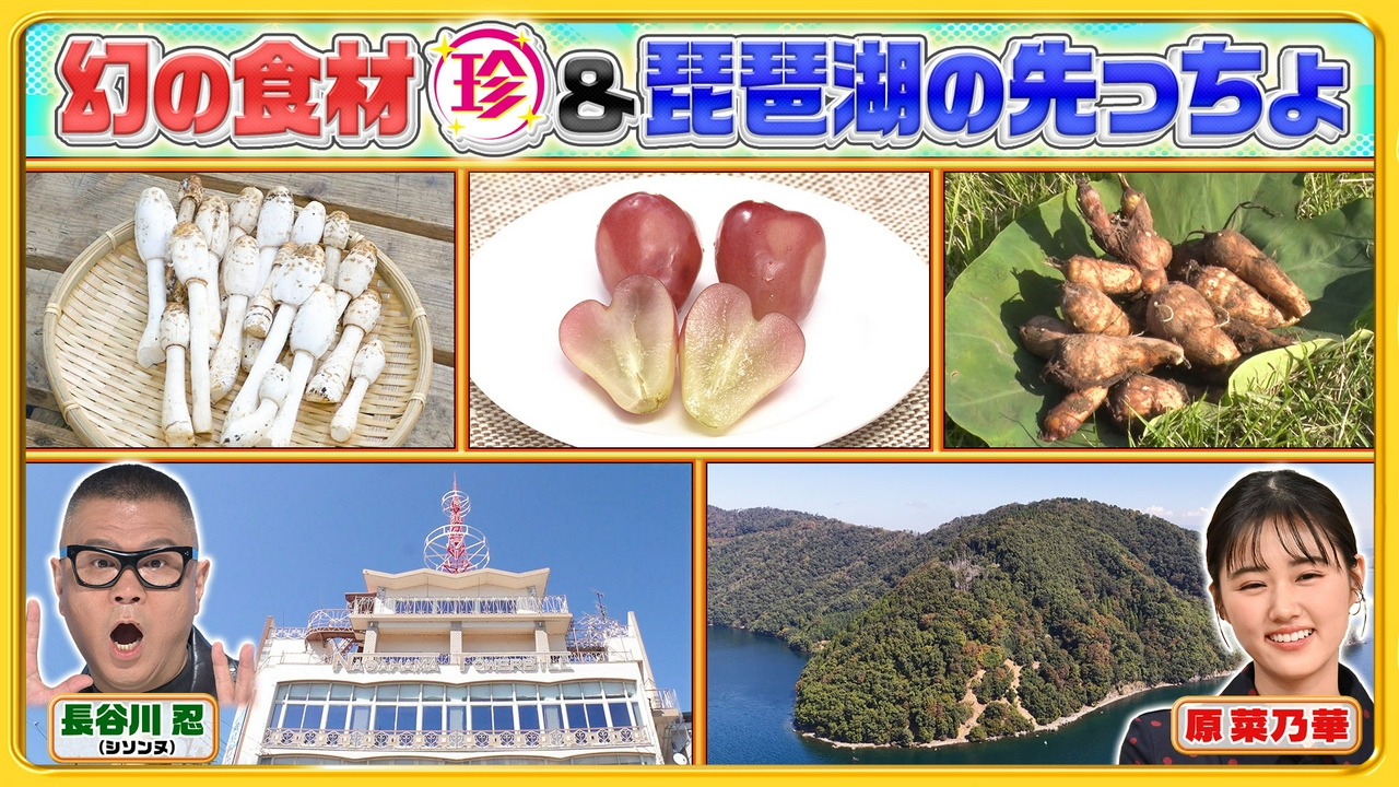 幻＆究極グルメ珍百景＆琵琶湖の先っちょで発見！湖底に沈む超貴重なある物とは…
