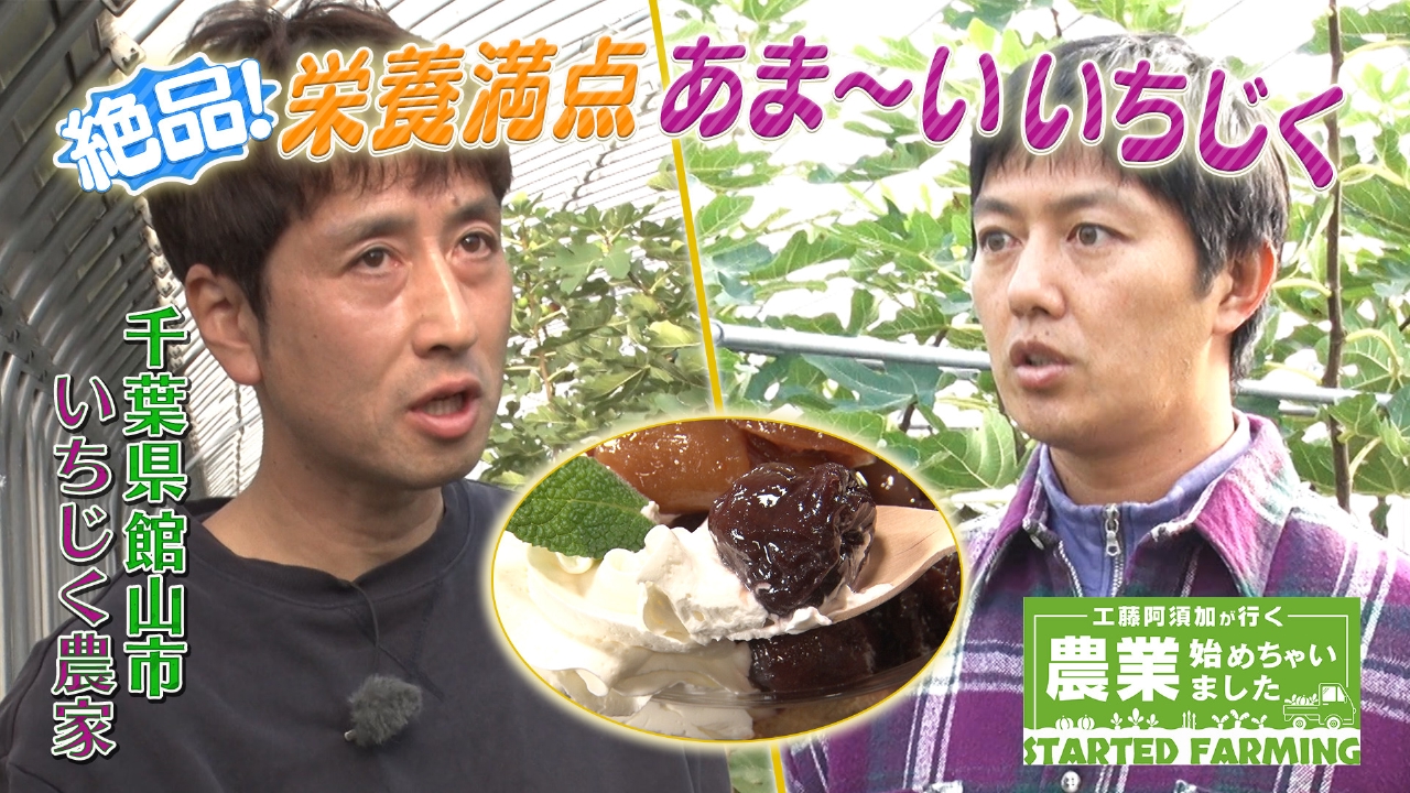 珍しい品種が開いた就農への扉　年間1万人が訪れるいちじく農園