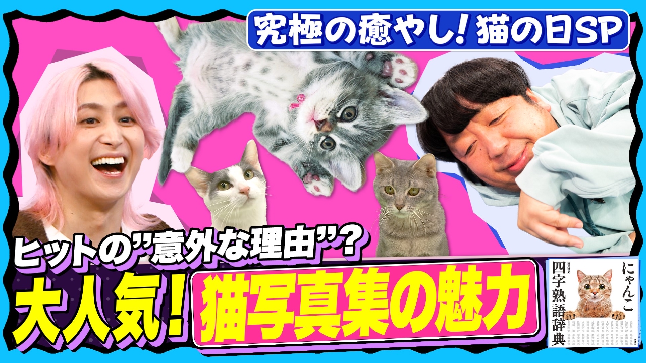 【癒やされ神回】猫のかわいい撮り方が丸わかり!佐久間日村も激写!