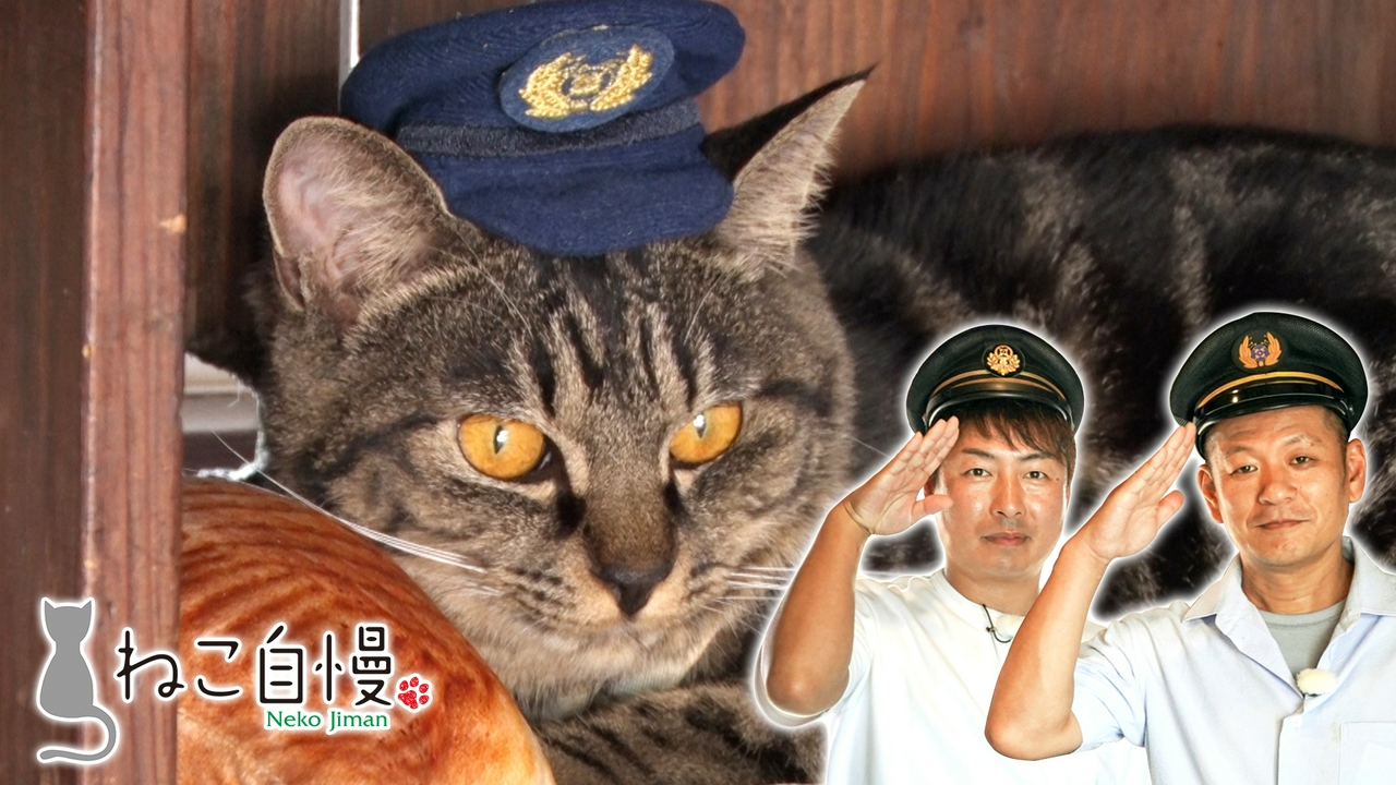 崖っぷちの赤字鉄道に現れた猫駅長に密着！社員を癒やす社内猫の日常
