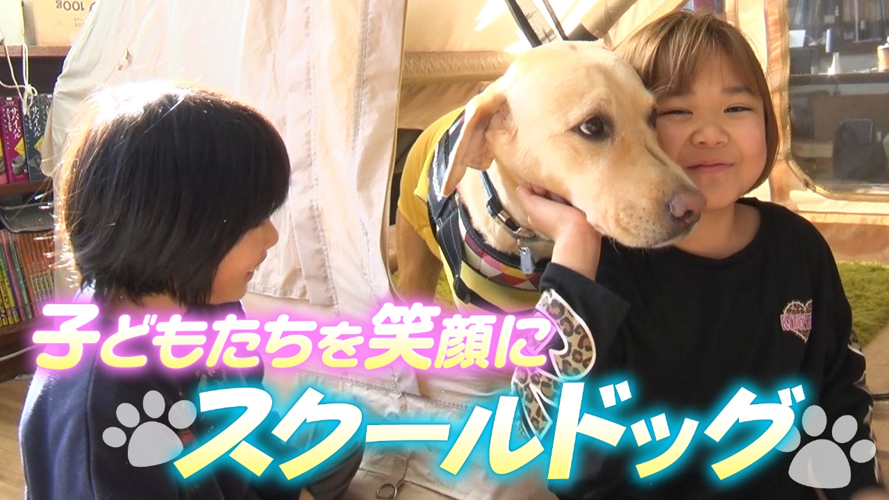 犬との触れ合いで子どもたちを笑顔に！「スクールドッグ」
