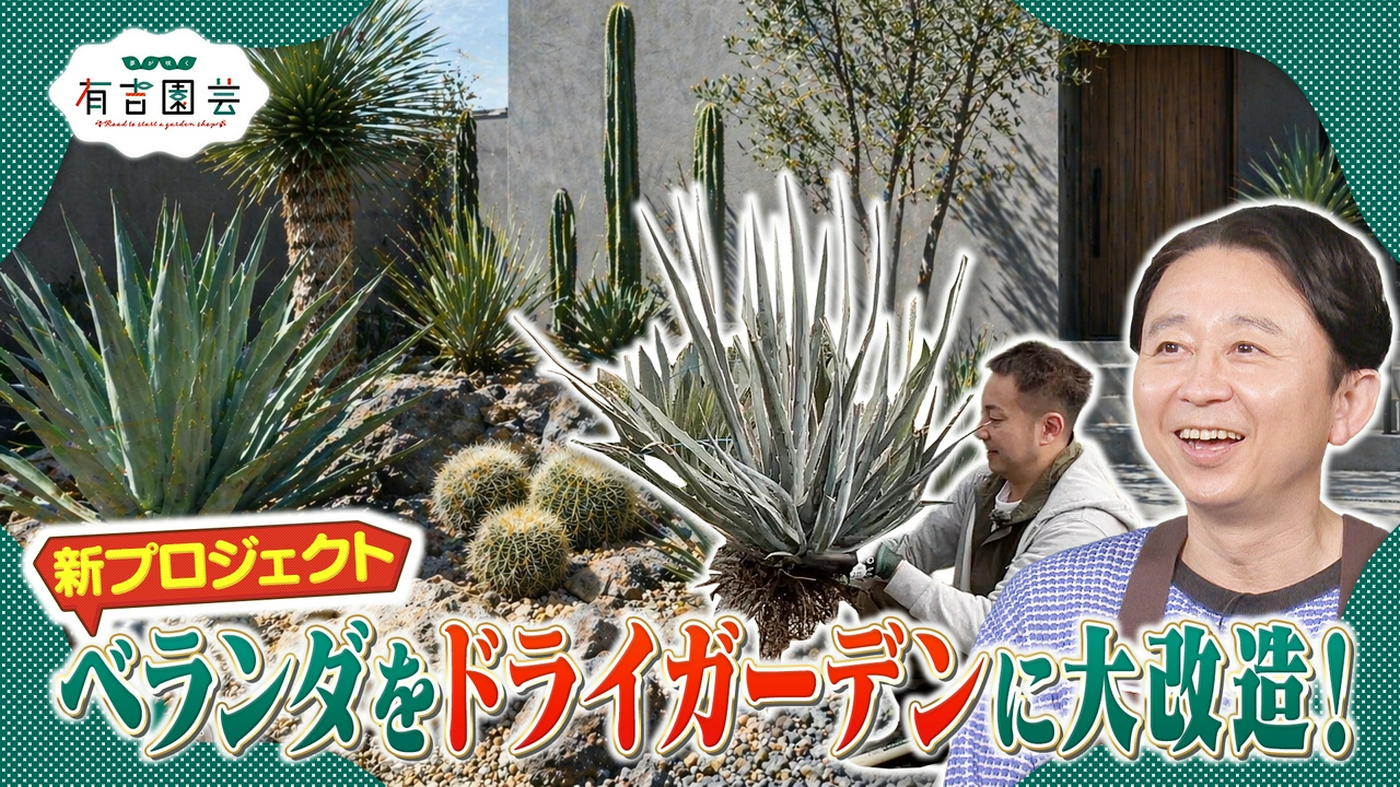 ベランダをオシャレにプロデュース！