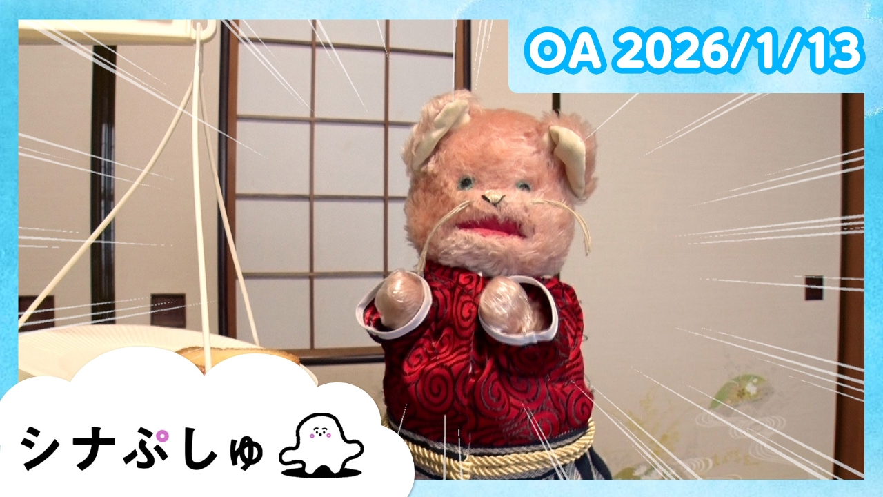 シナぷしゅ公式26/01/13