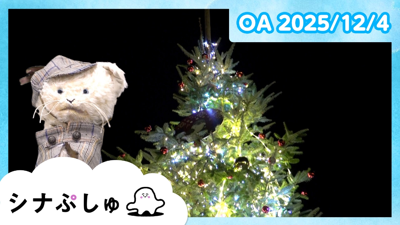シナぷしゅ公式25/12/04