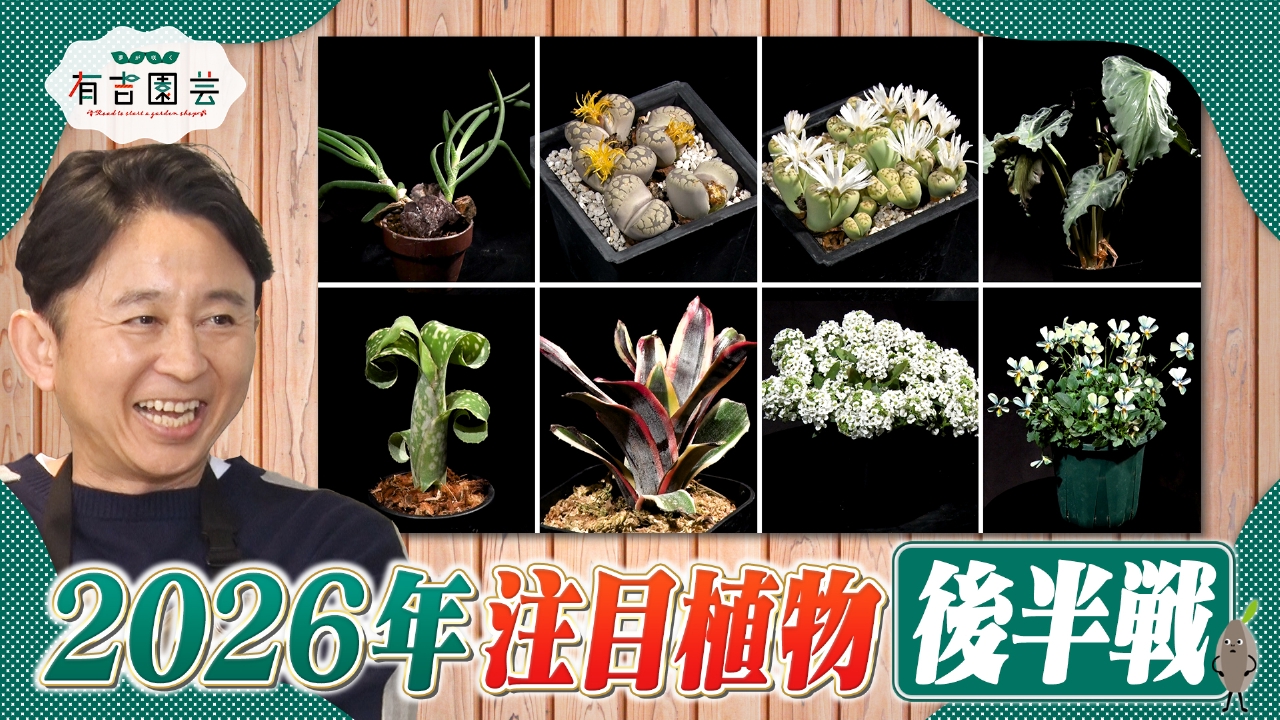 専門家イチオシ！2026年注目の植物 第2弾