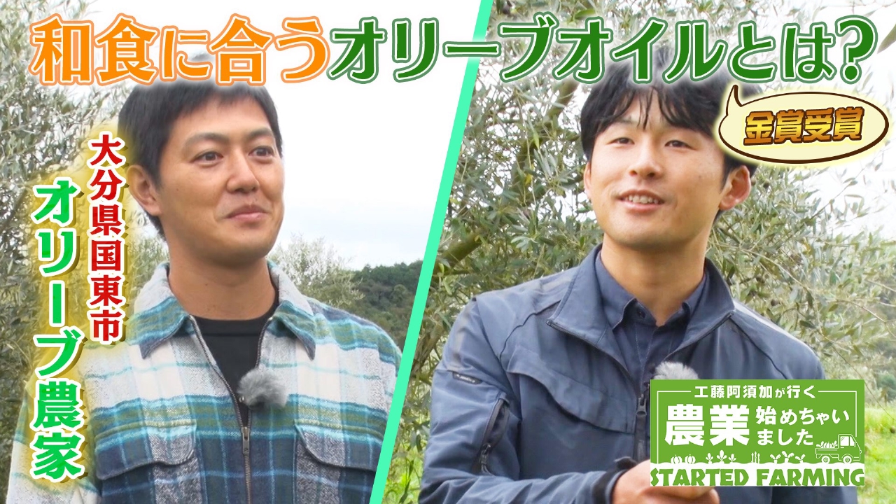 祖父のおかげで踏み出す勇気が！農業で人生を変えたオリーブ農家