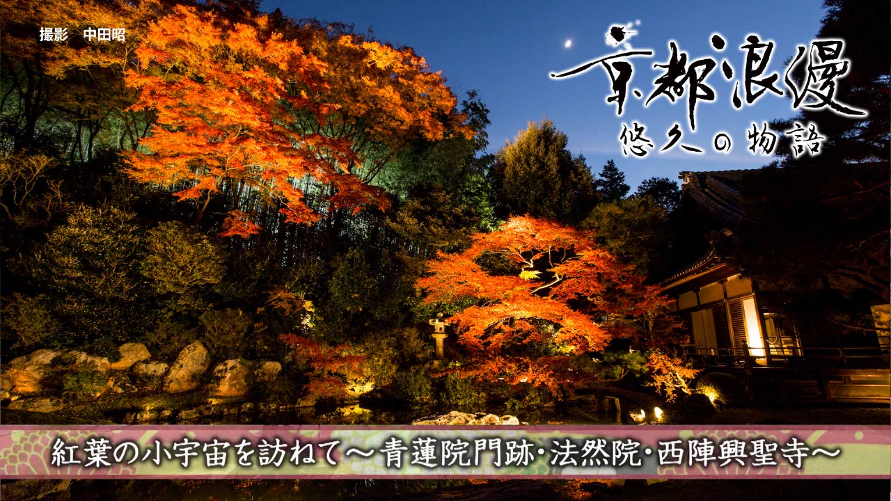第182回「紅葉の小宇宙を訪ねて～青蓮院門跡・法然院・西陣興聖寺～」