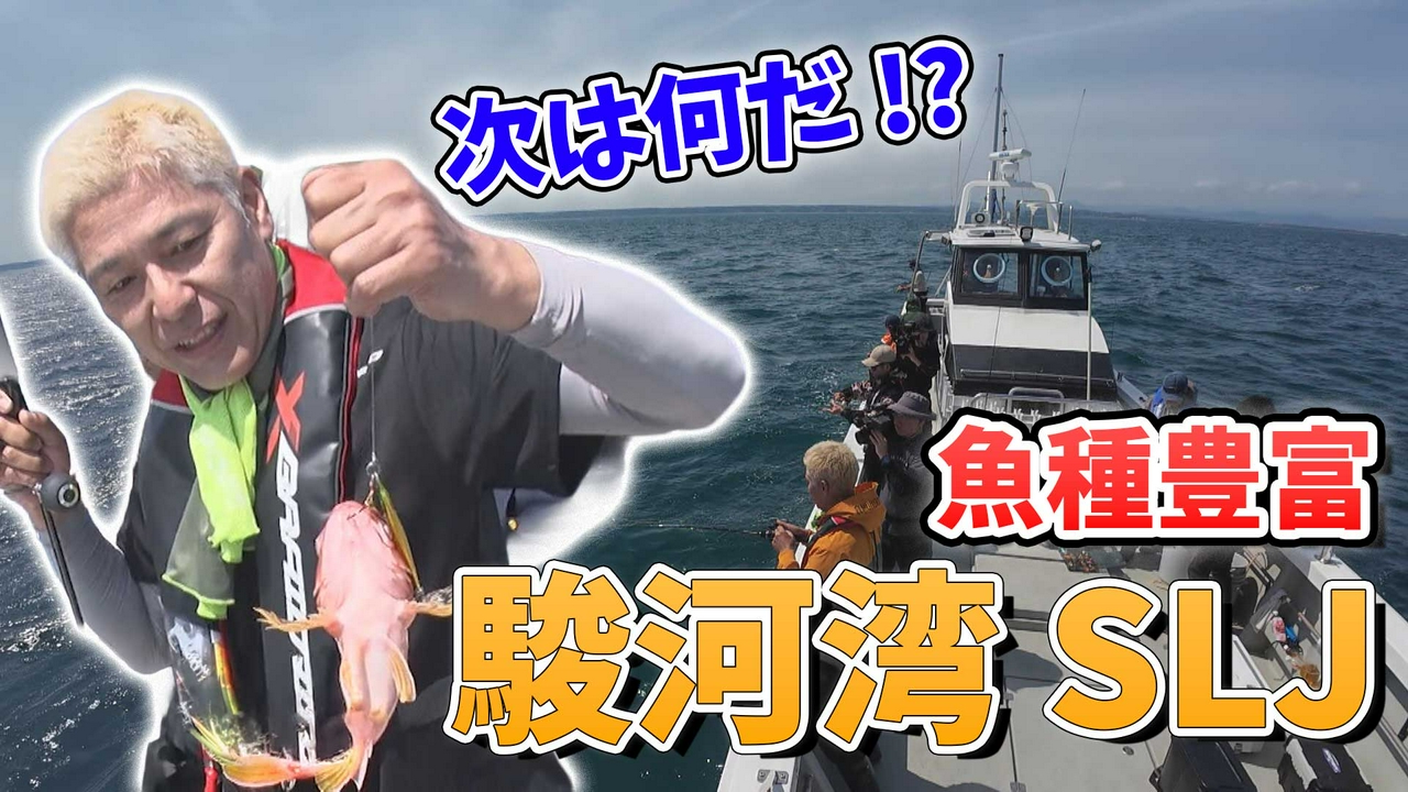 極上五目！魚の宝庫、駿河湾でSLJならまかせろ！