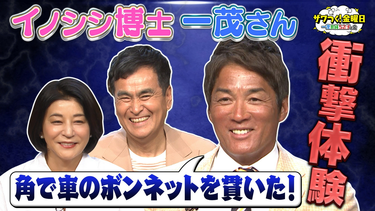 イノシシに詳しすぎる一茂さん＆一番高い信楽焼きたぬきを見極めろ！