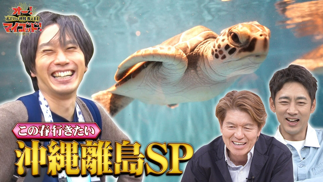 アイランドホッピングで沖縄離島4泊5日水槽の旅SP