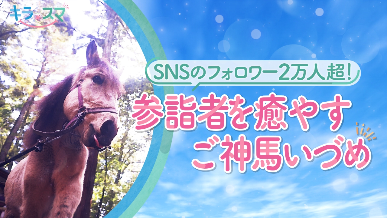「吉川八幡神社」のもうひとつの見どころ