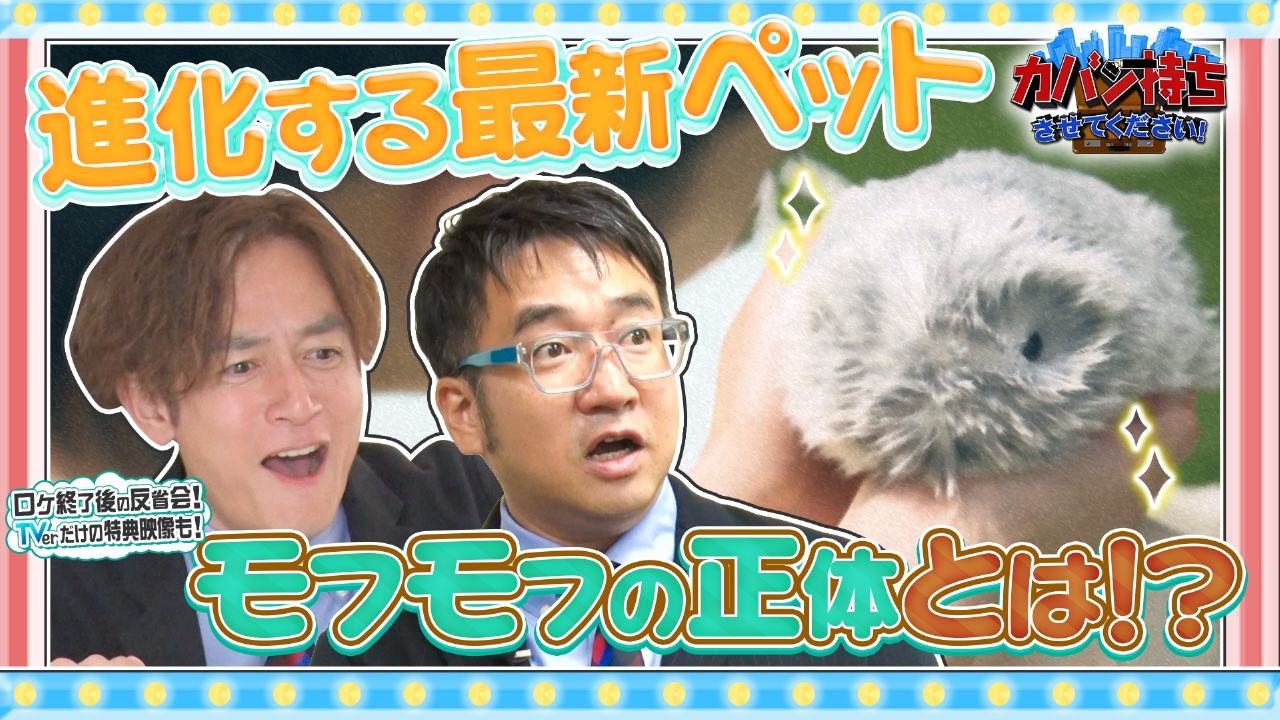 進化するペット界隈