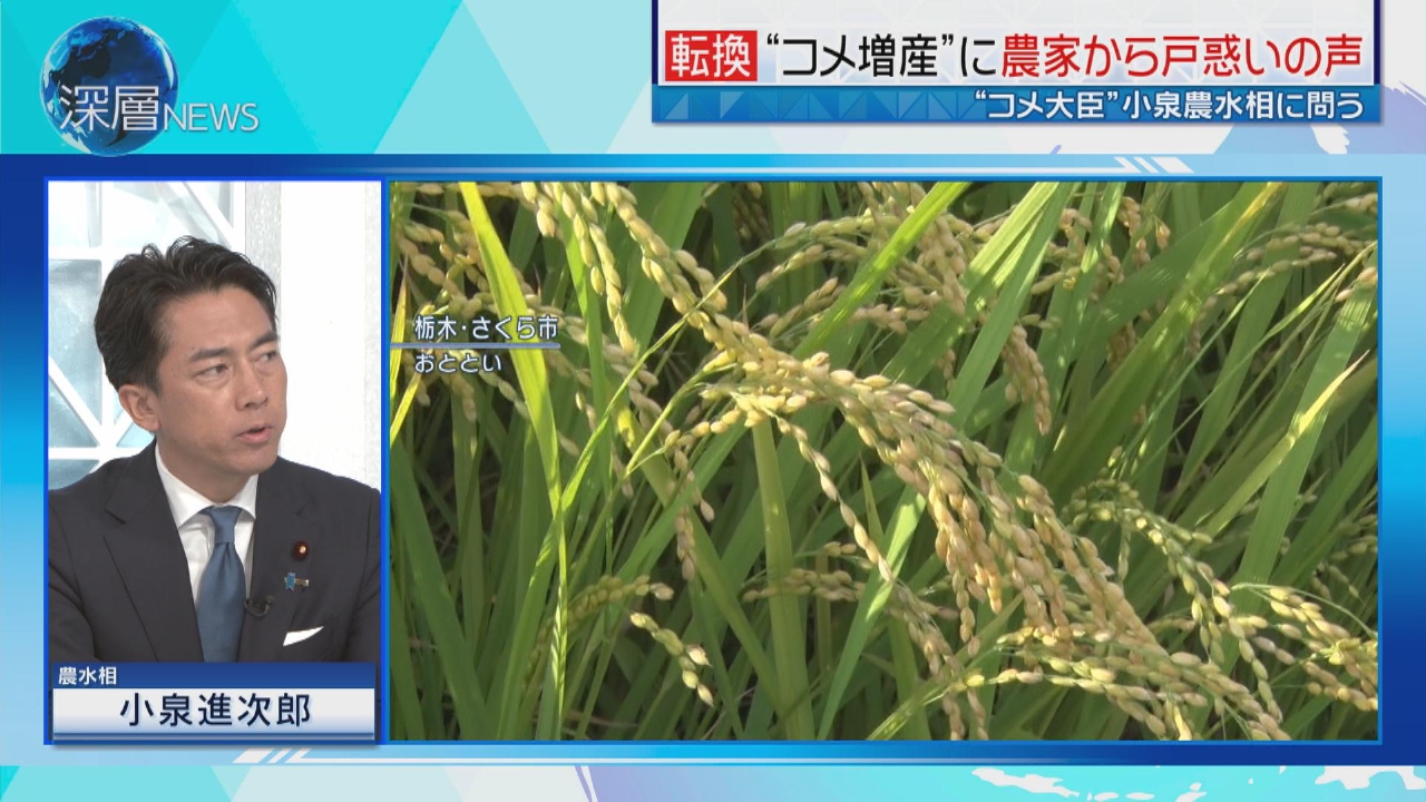 新米価格が“高騰”　「コメの増産」効果は
