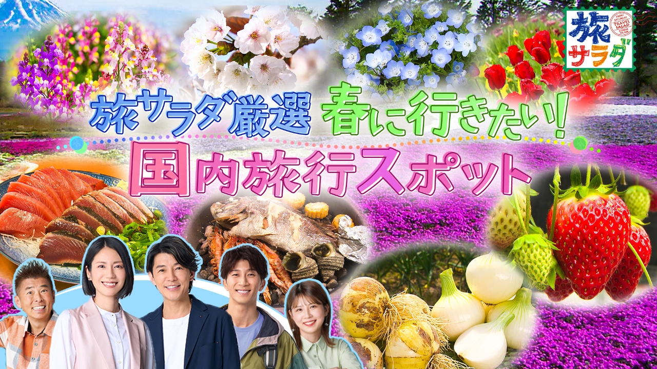 サハラ砂漠のラグジュアリーなキャンプにステイし、砂漠の民の暮らしや文化を体験！