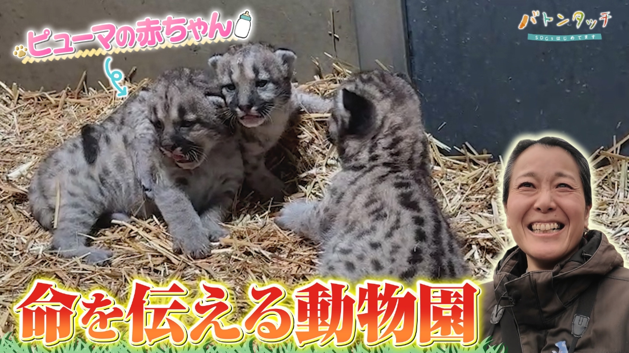 動物たちの命を伝える！「盛岡市動物公園 ZOOMO」