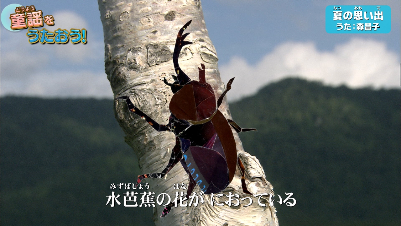第364回 夏の思い出できたかな？