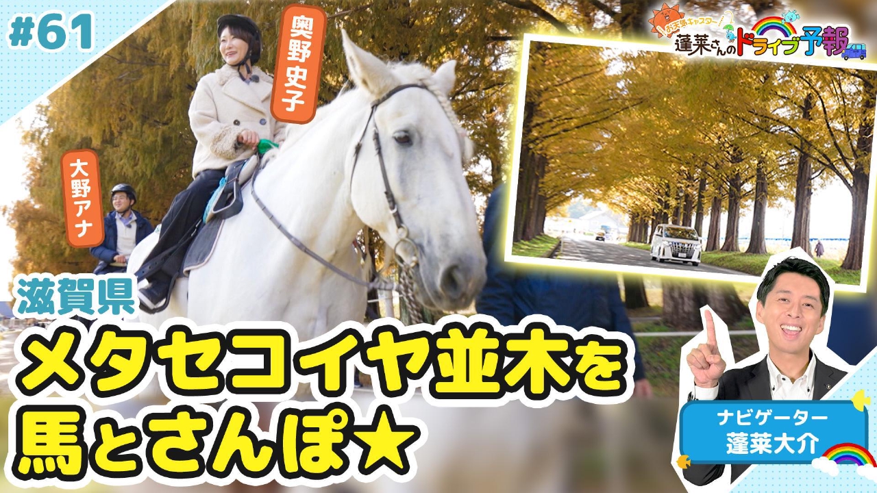 【お天気キャスター蓬莱さんのドライブ予報】メタセコイヤ並木を馬と散歩！
