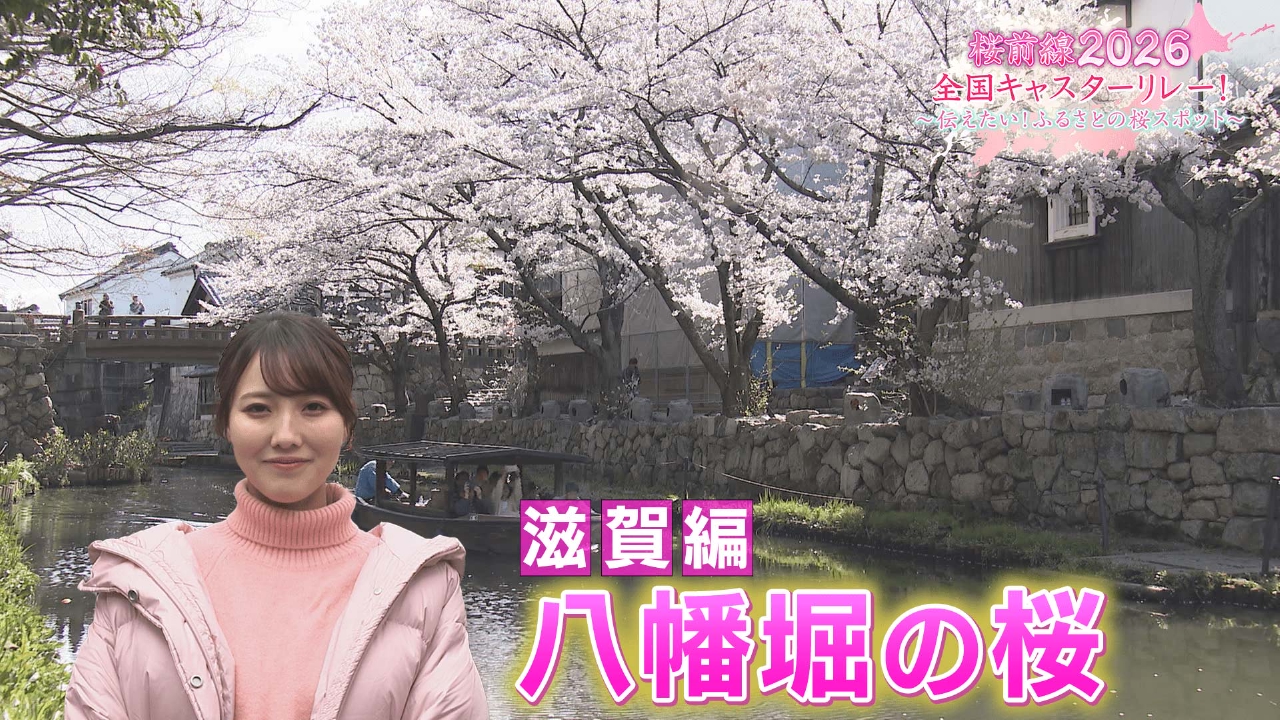 滋賀編「八幡堀の桜」