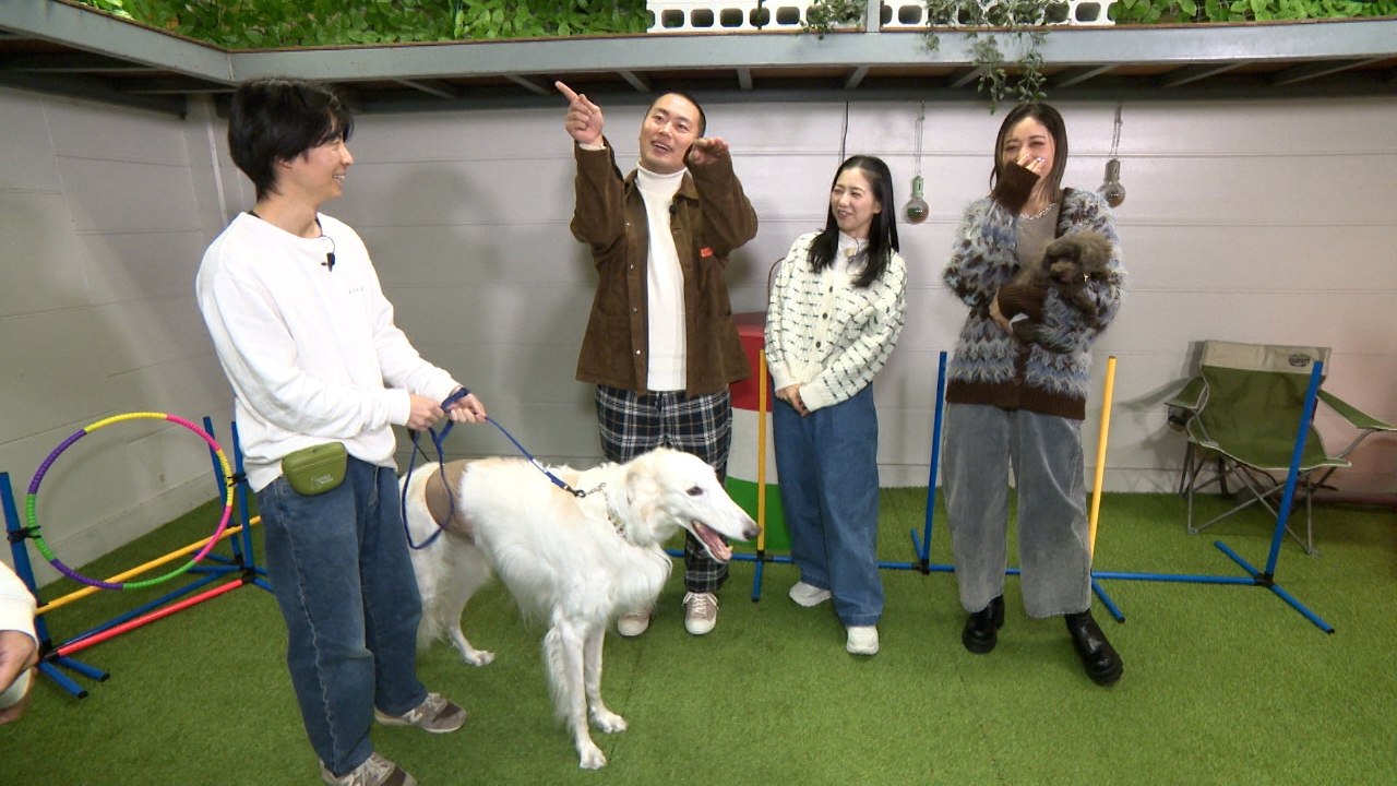 愛犬と思い出作りができるドッグイベントに潜入！話題のお散歩ワンコ