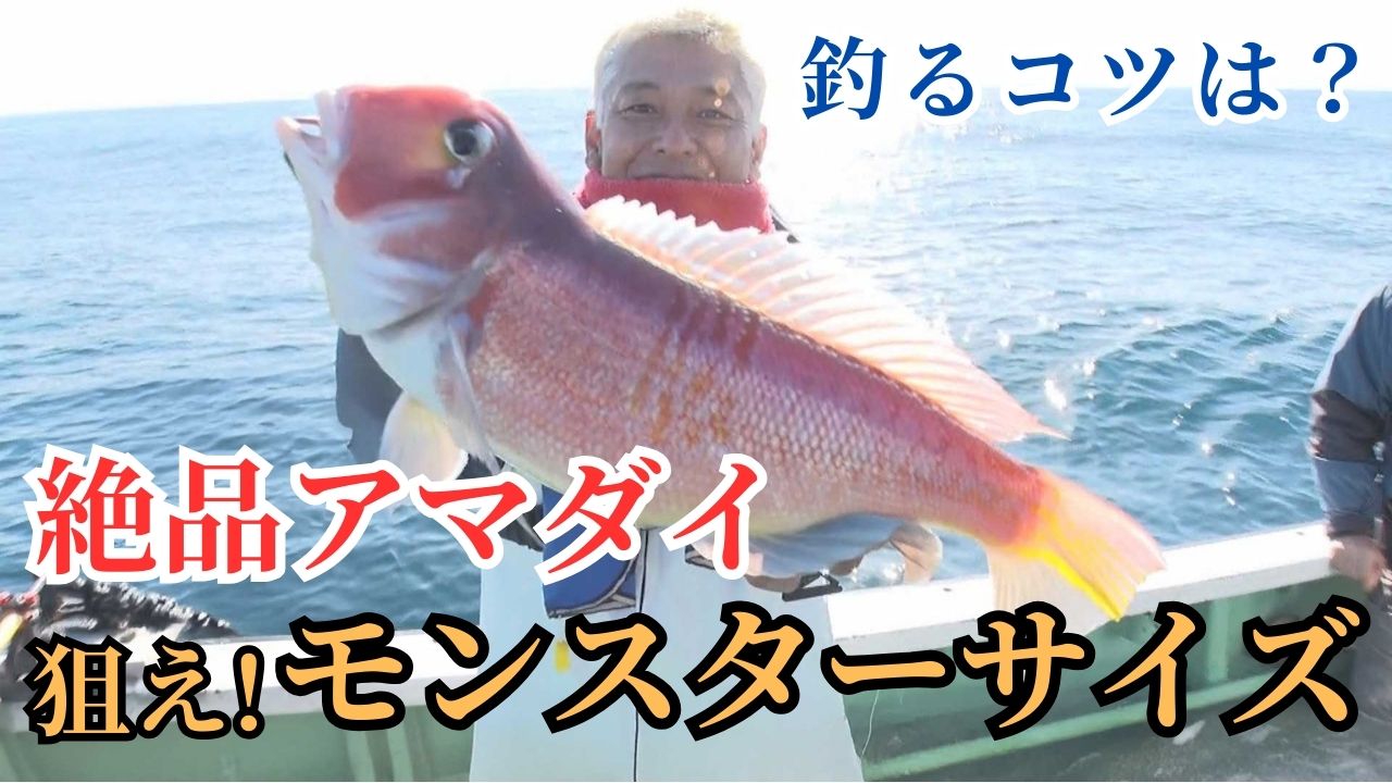 剣崎沖で冬の絶品アマダイを釣って食べよう！！ アマダイ五⽬ならまかせろ！