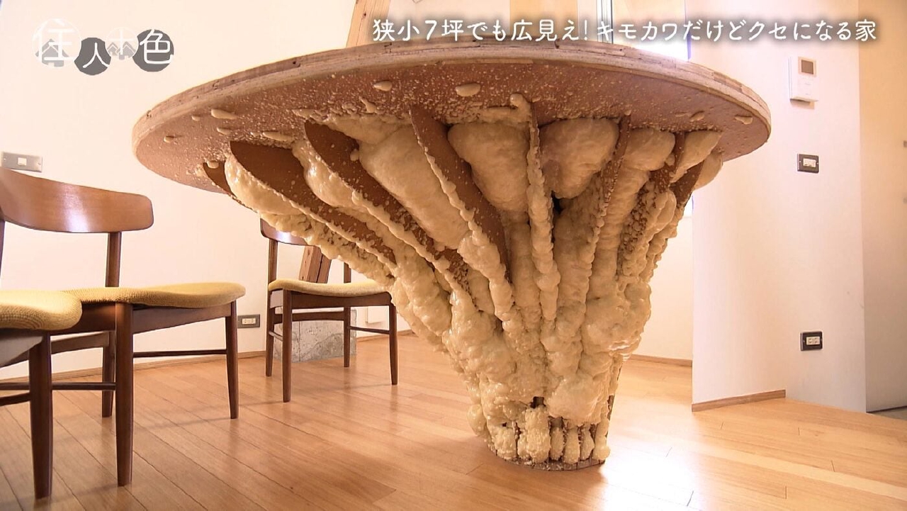 ＃796「７坪の狭小地でも広見え！キモカワ！だけどクセになる家」