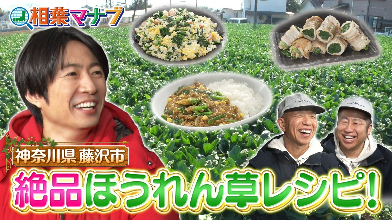 マナブ！旬の産地ごはん～ほうれん草～