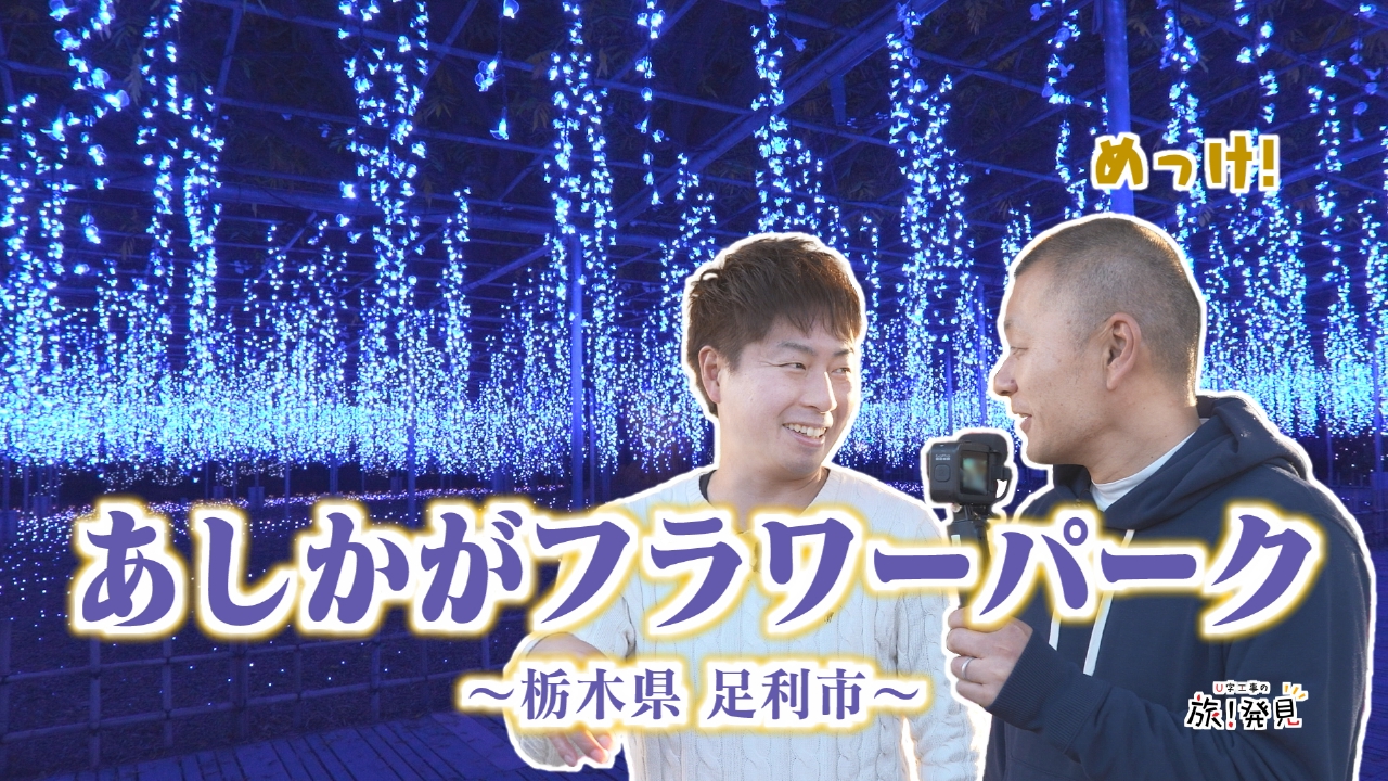 あしかがフラワーパーク