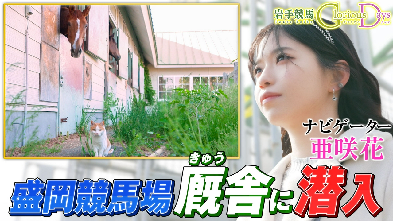 第39回「きゅう舎潜入」