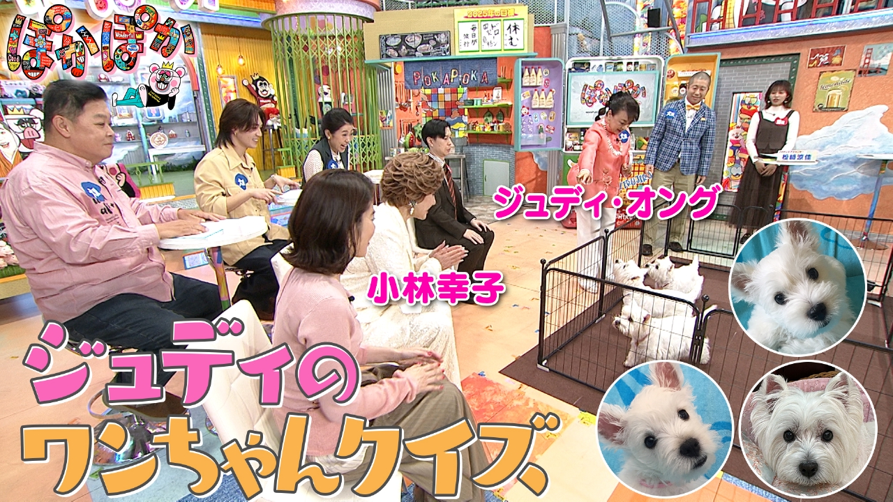 月曜（2）ジュディ・オングの激カワ愛犬が登場