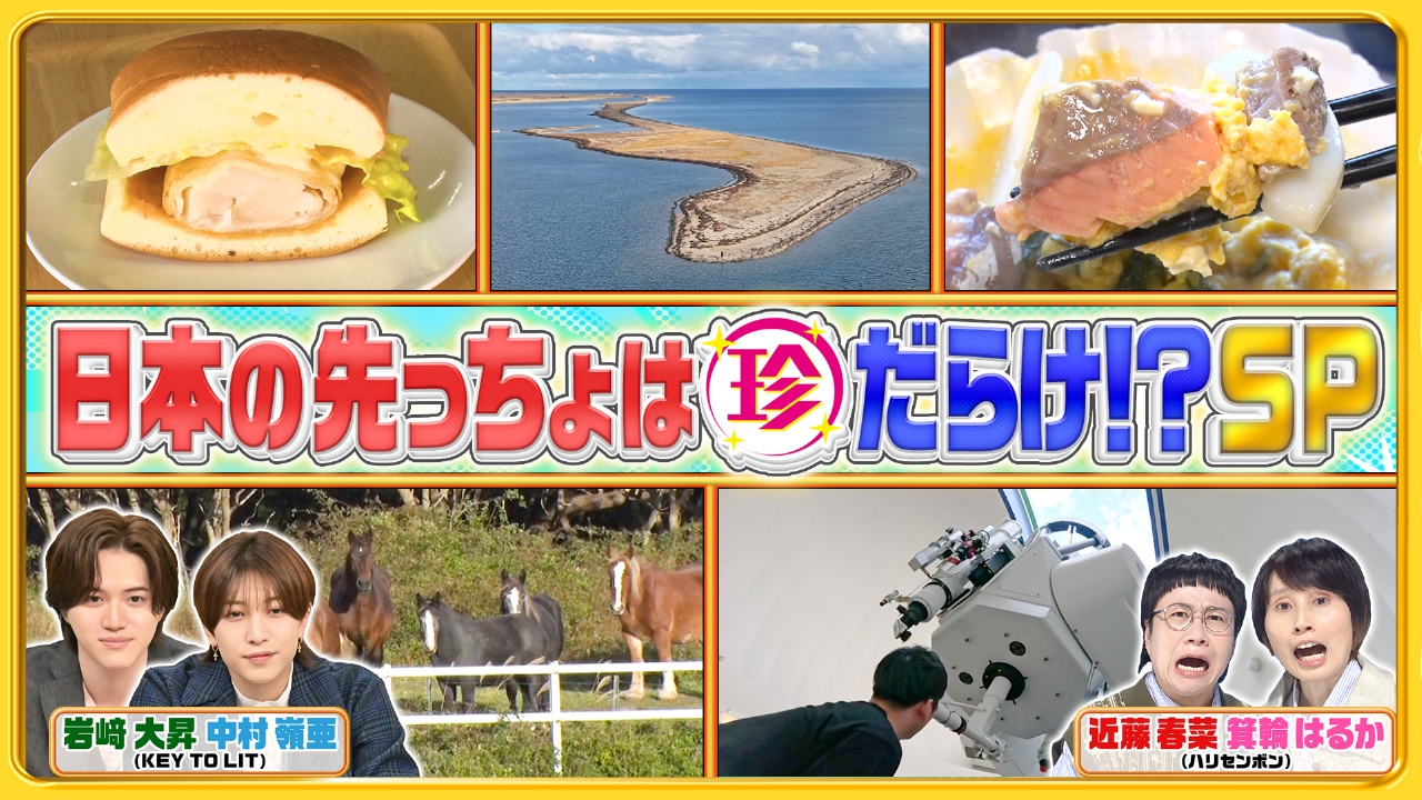 新企画「日本の先っちょを大調査」行ってみると実は珍百景だらけSP！