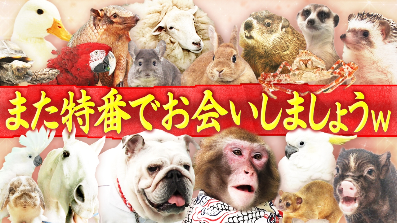 【最終回】こうやって人間研究所は終わることになりました。