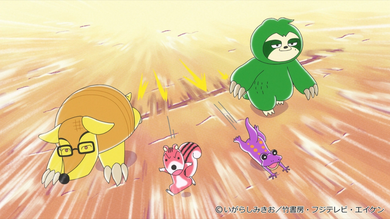 第526話 クイズしまっちゃ王！3回戦
