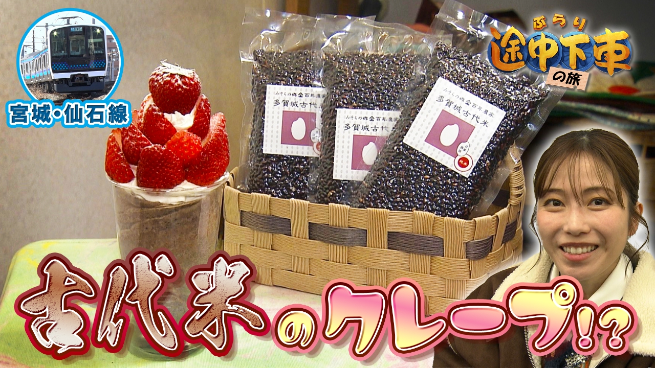 仙石線／横山由依