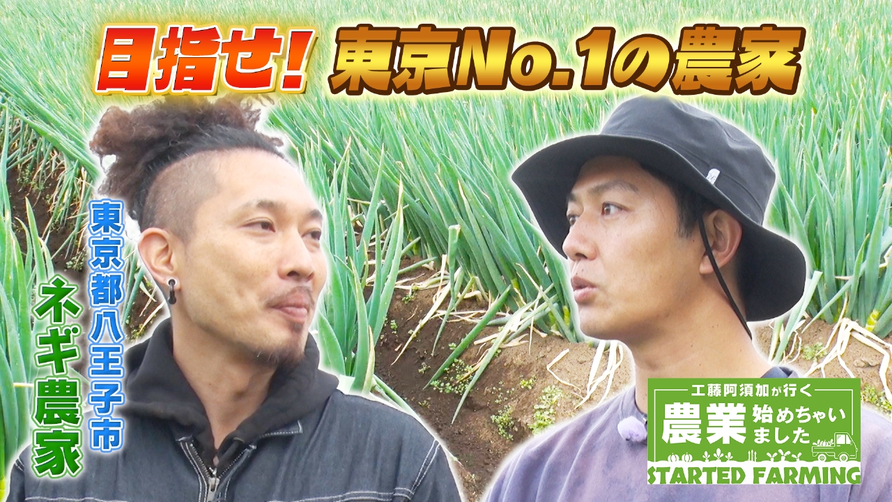 耕作放棄地を開墾し、農地を拡大　東京No.1を目指すネギ農家