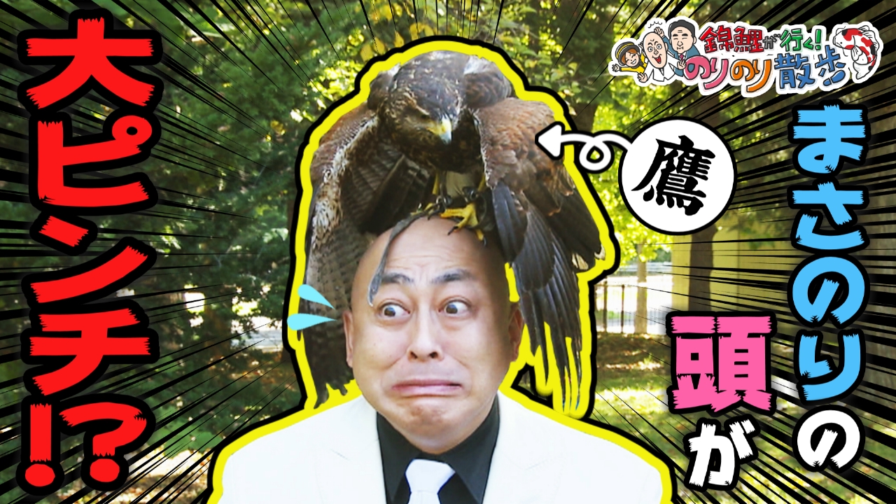 まさのりの頭に鷹をのせたい！