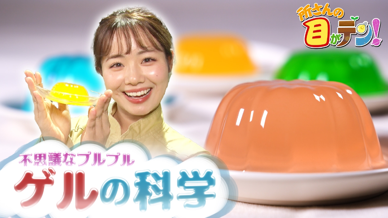 プルプル触感「ゲル」の不思議に新プレゼンターが迫る～～～