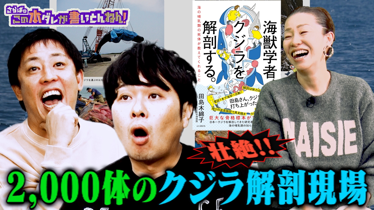【“海獣”学者】知られざる生態系！海の哺乳類の死体が教えてくれる事