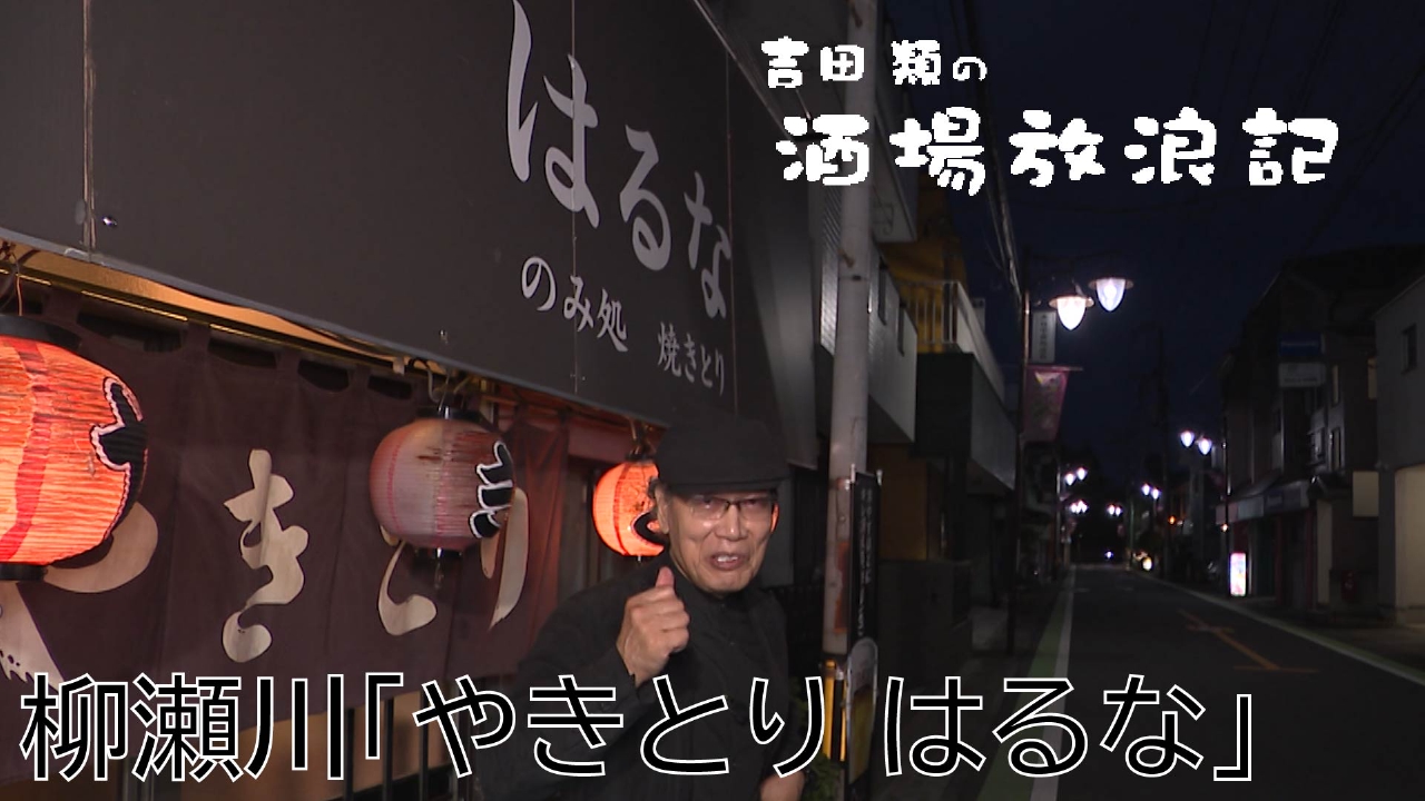 柳瀬川「やきとり　はるな」