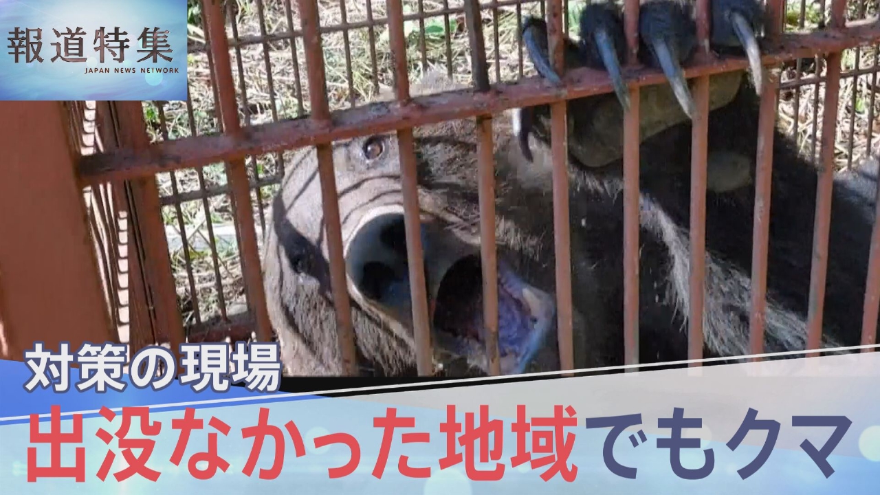 市街地に出没するクマにどう対処するべきか