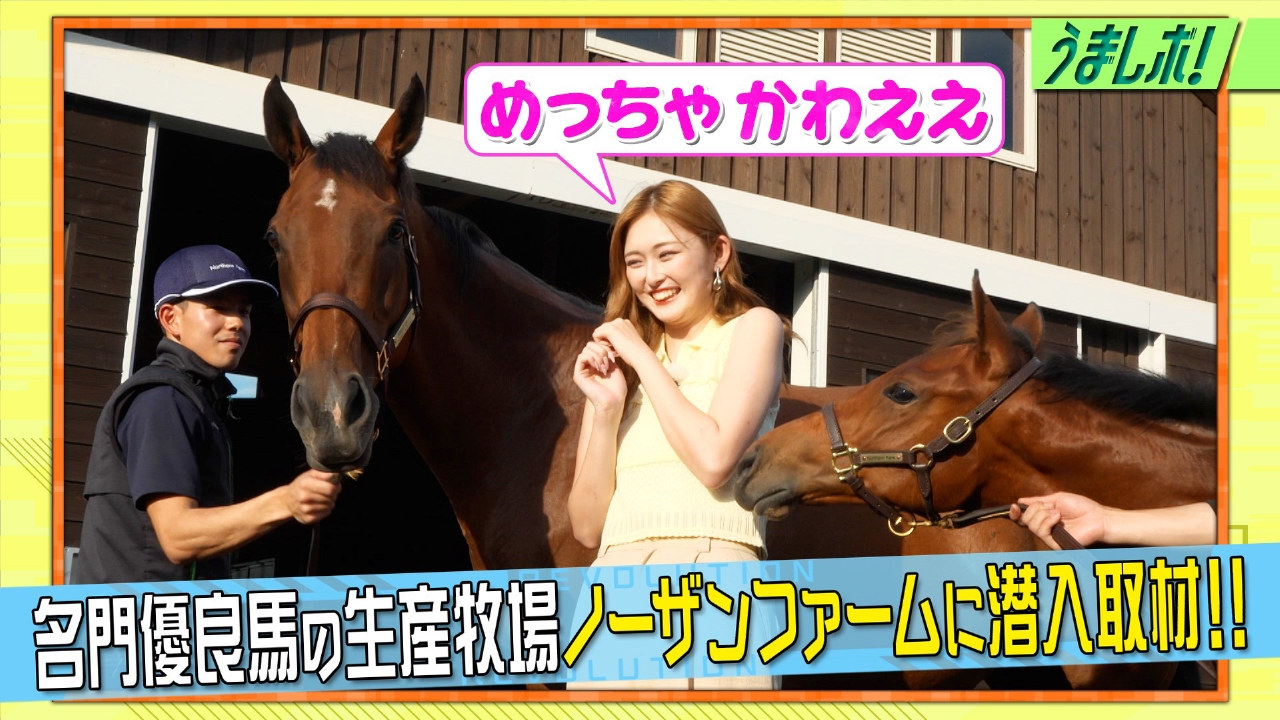 生産牧場ノーザンファーム！強さの秘密に迫る