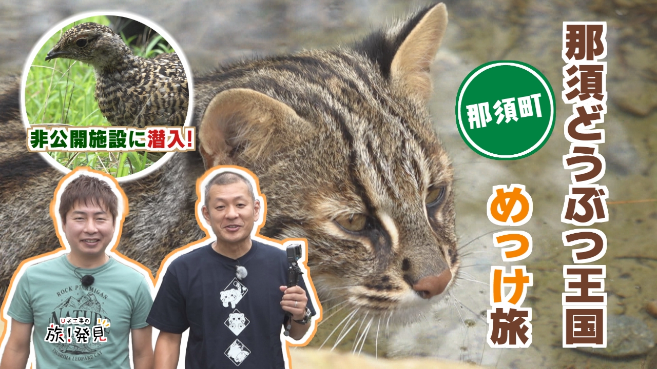 那須どうぶつ王国2025